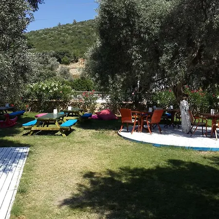 Club Alisya فندق 4*