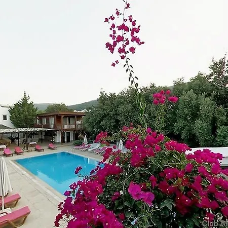 Club Alisya فندق توربا